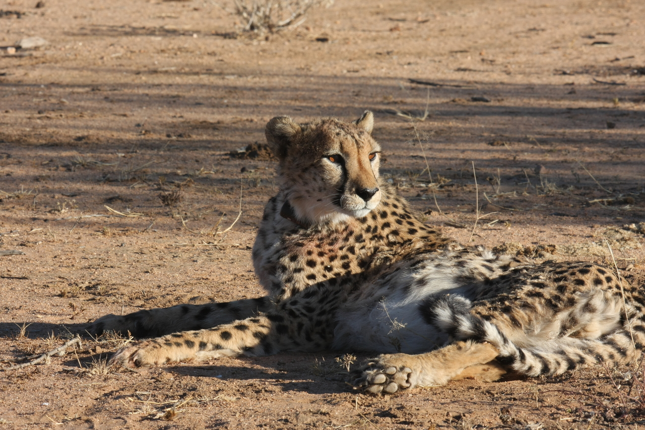 [965] 2016_06_22_02_49_57_Africa_Canon_EOS_40D_IMG__00158.jpg