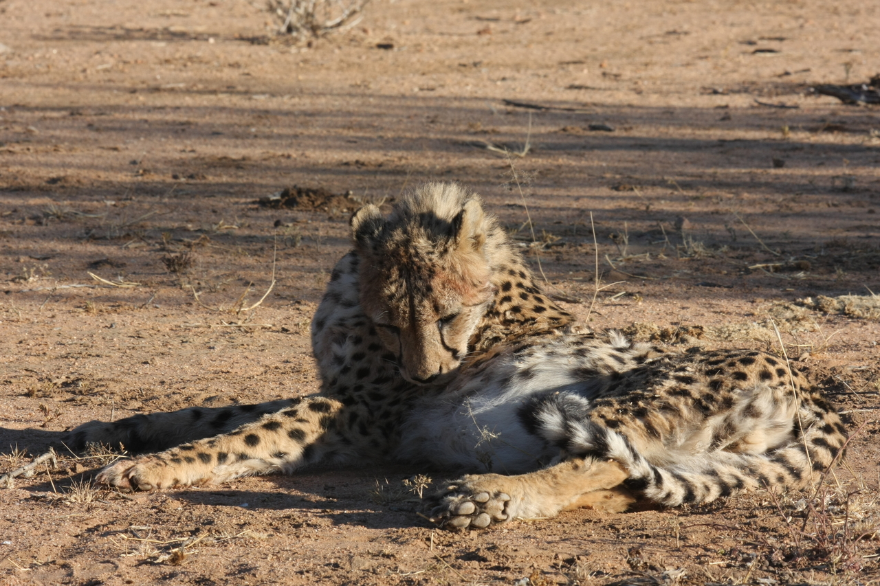 [970] 2016_06_22_02_49_59_Africa_Canon_EOS_40D_IMG__07606.jpg