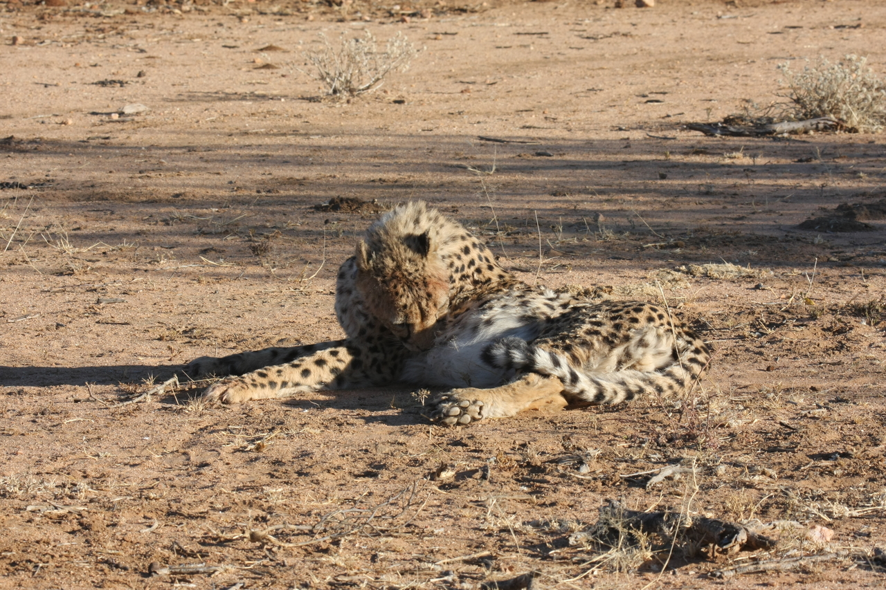 [993] 2016_06_22_02_50_30_Africa_Canon_EOS_40D_IMG__00149.jpg
