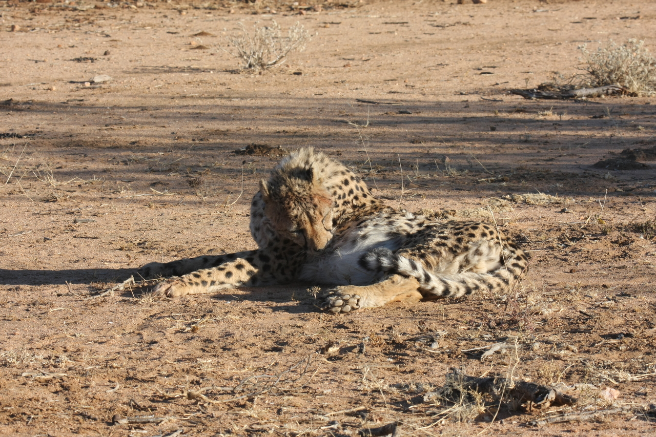 [994] 2016_06_22_02_50_30_Africa_Canon_EOS_40D_IMG__00167.jpg