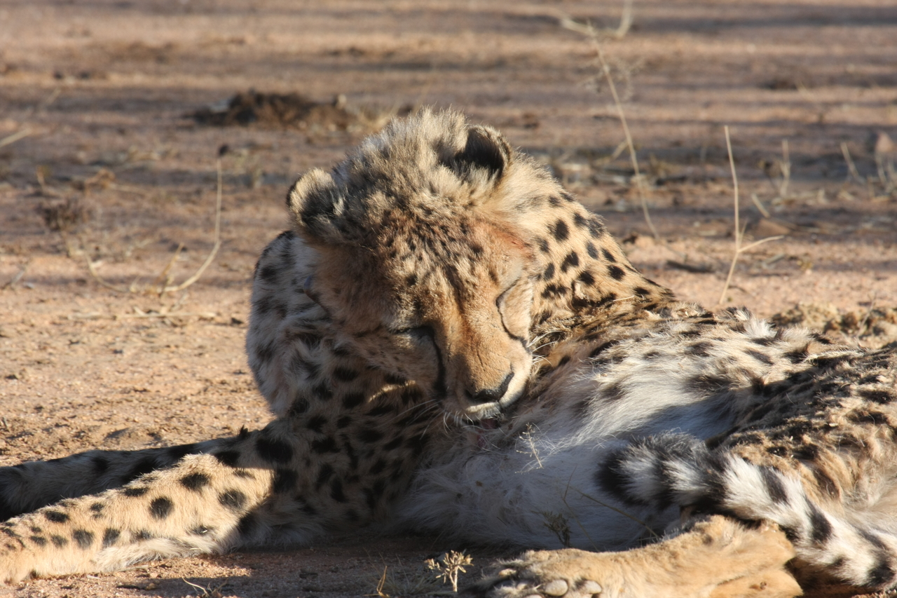[1010] 2016_06_22_02_50_53_Africa_Canon_EOS_40D_IMG__00154.jpg