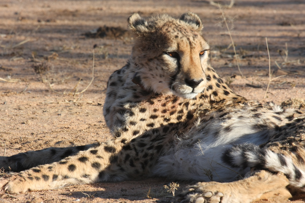 [1013] 2016_06_22_02_50_59_Africa_Canon_EOS_40D_IMG__00155.jpg