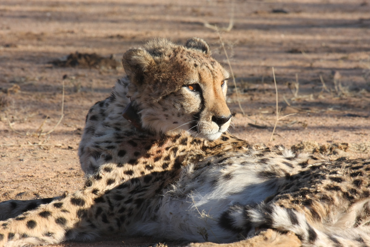 [1039] 2016_06_22_02_51_39_Africa_Canon_EOS_40D_IMG__07629.jpg