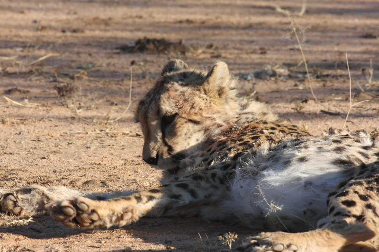 [1042] 2016_06_22_02_51_41_Africa_Canon_EOS_40D_IMG__07630.jpg