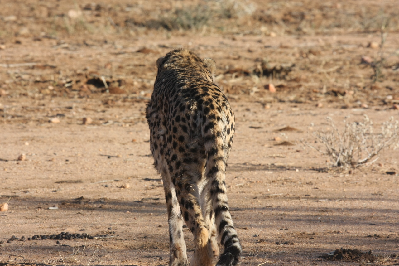 [1046] 2016_06_22_02_51_52_Africa_Canon_EOS_40D_IMG__00166.jpg