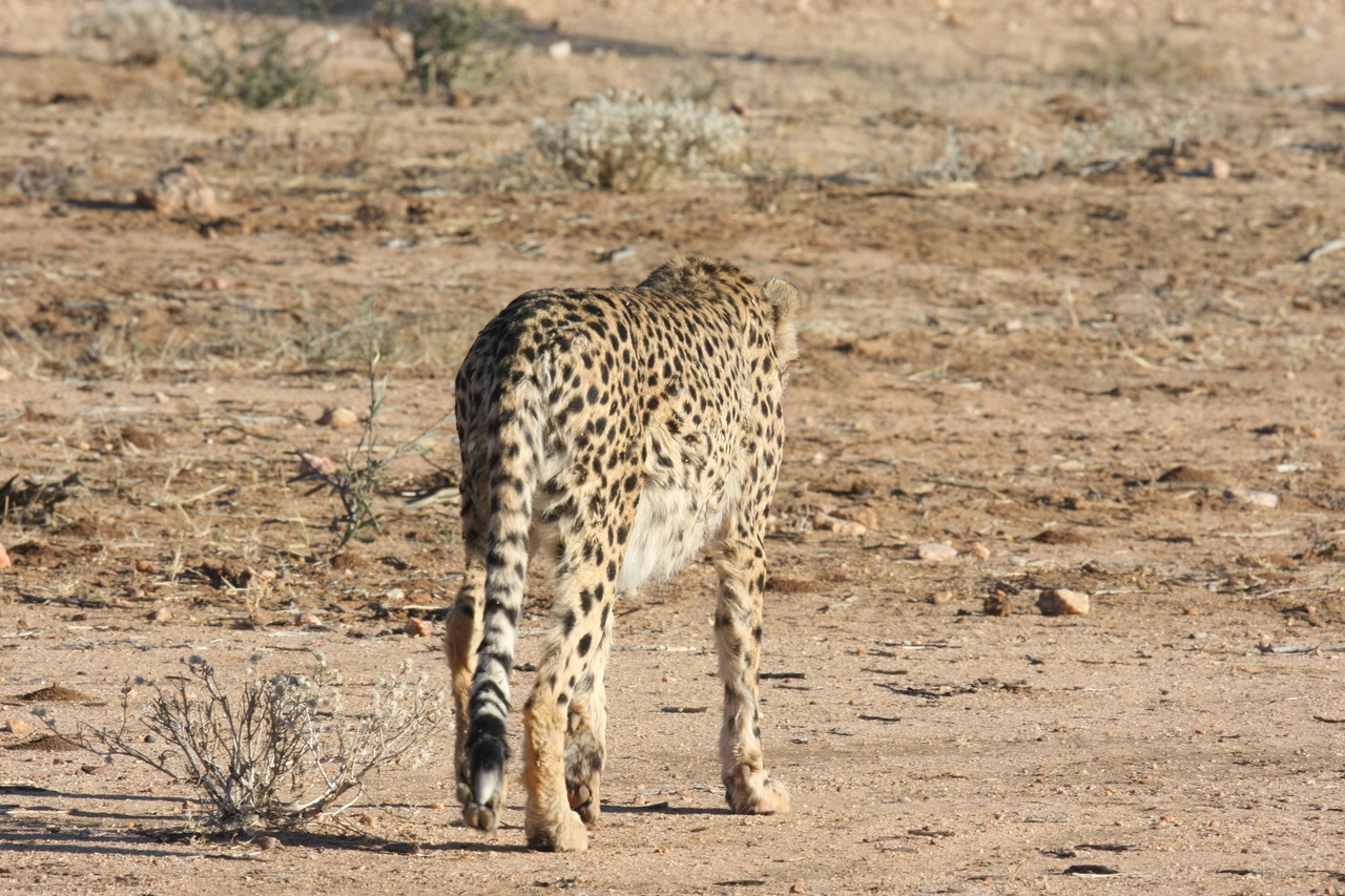 [1067] 2016_06_22_02_52_00_Africa_Canon_EOS_40D_IMG__00173.jpg