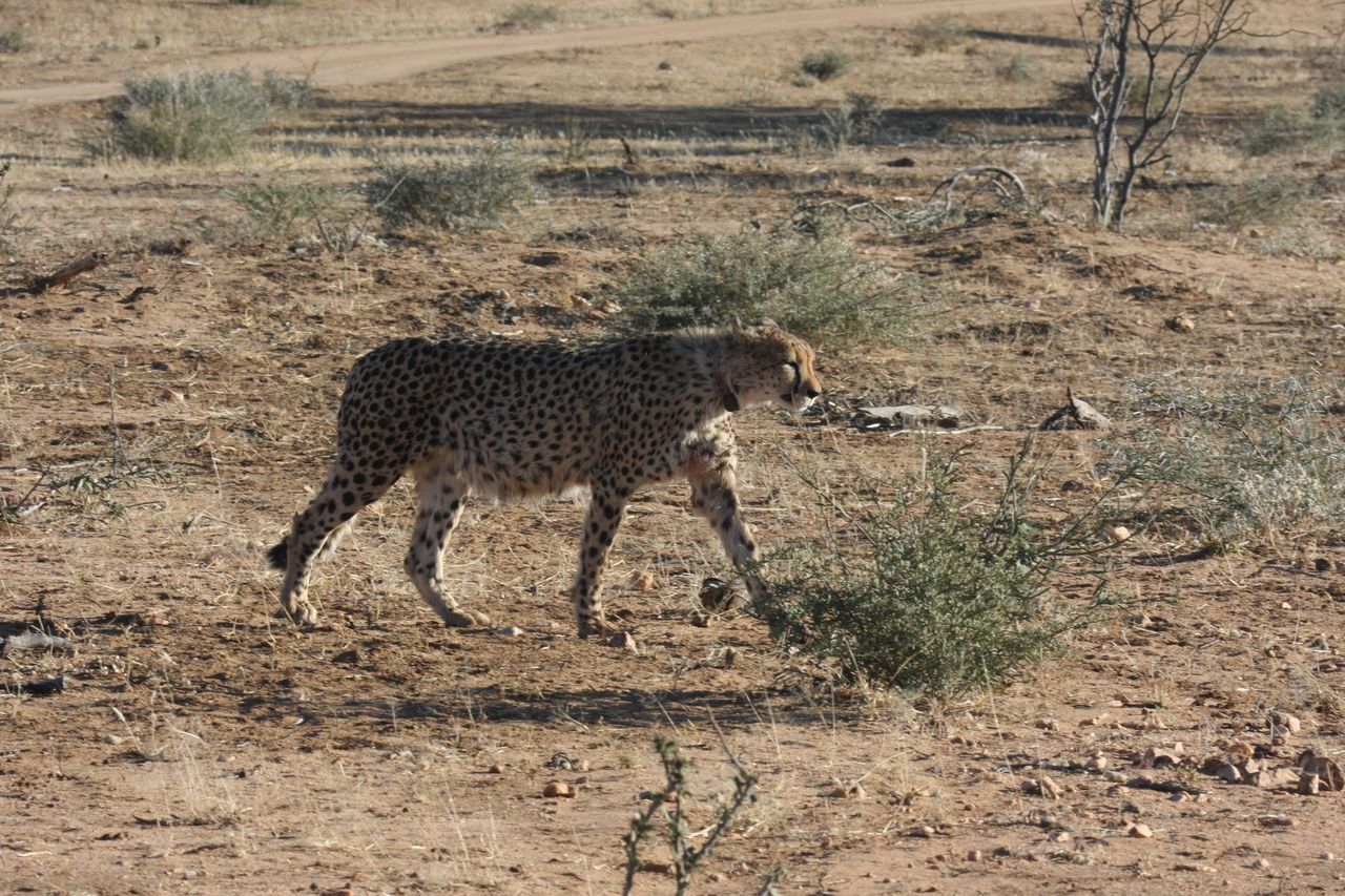 [1206] 2016_06_22_02_56_06_Africa_Canon_EOS_40D_IMG__00210.jpg