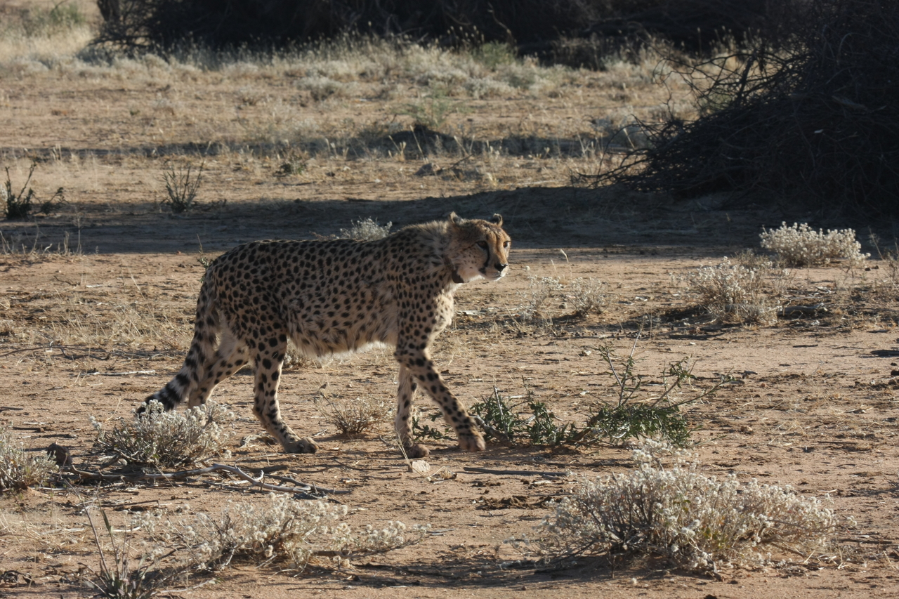 [1220] 2016_06_22_02_56_16_Africa_Canon_EOS_40D_IMG__00214.jpg