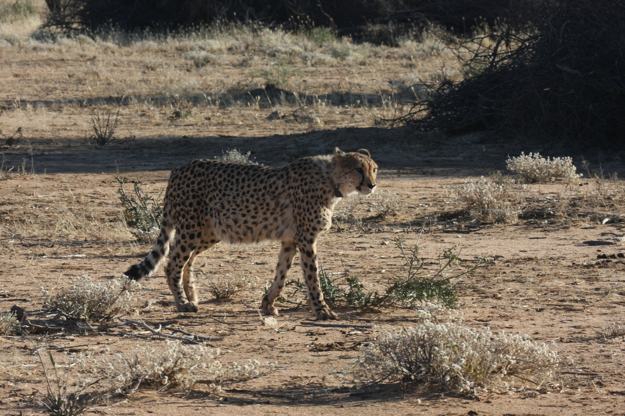 [1225] 2016_06_22_02_56_16_Africa_Canon_EOS_40D_IMG__07681.jpg