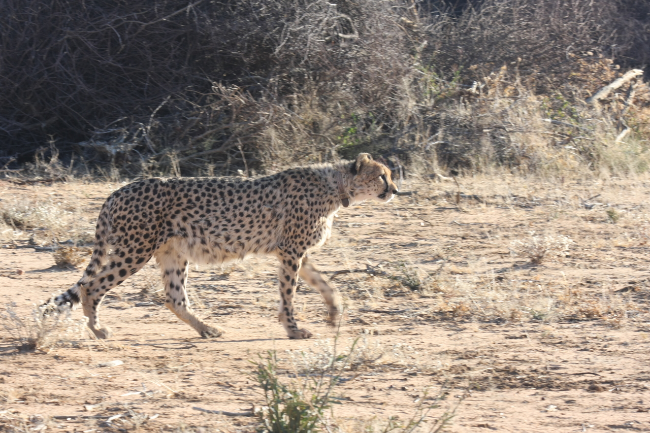 [1227] 2016_06_22_02_56_22_Africa_Canon_EOS_40D_IMG__00217.jpg