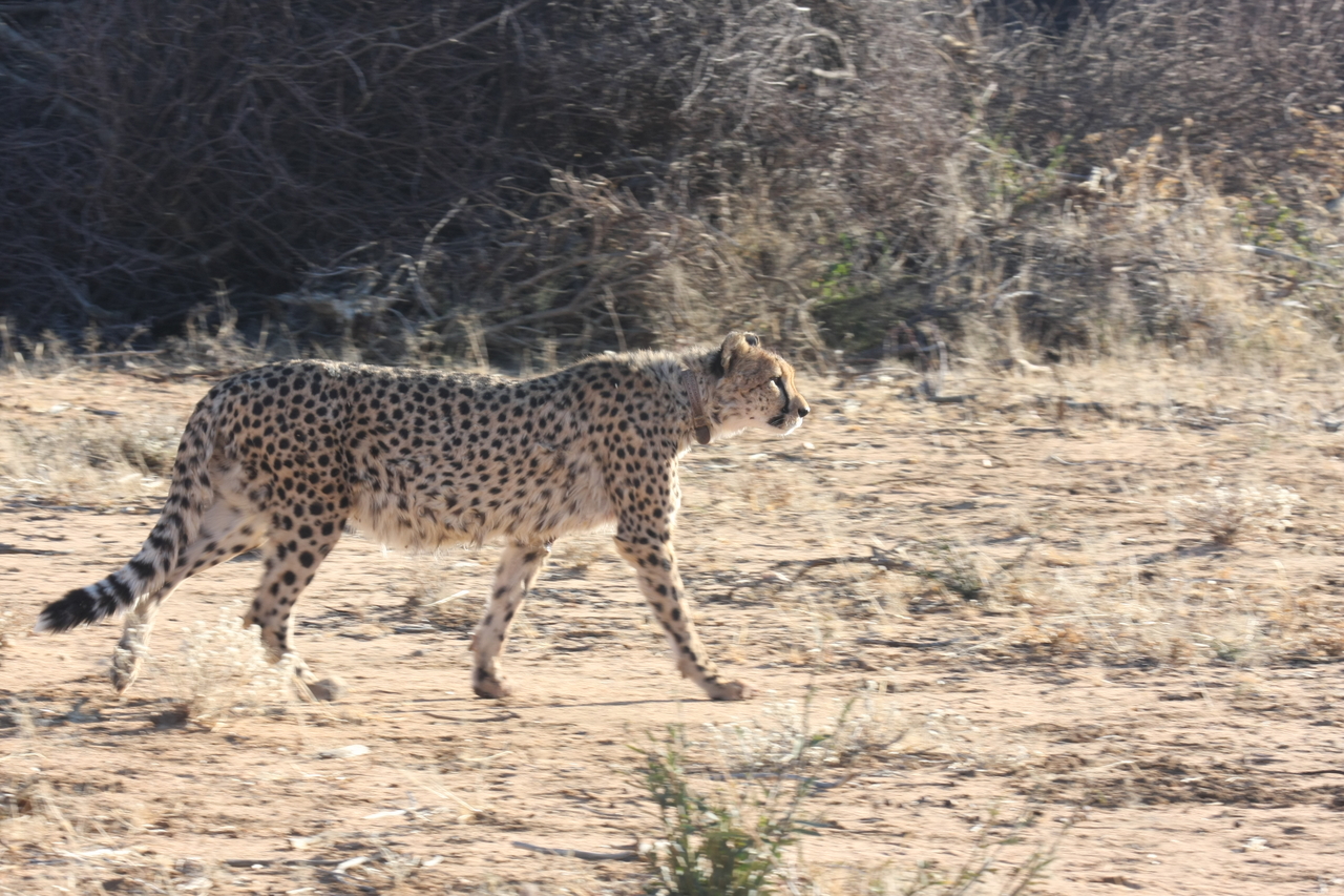 [1230] 2016_06_22_02_56_22_Africa_Canon_EOS_40D_IMG__07682.jpg