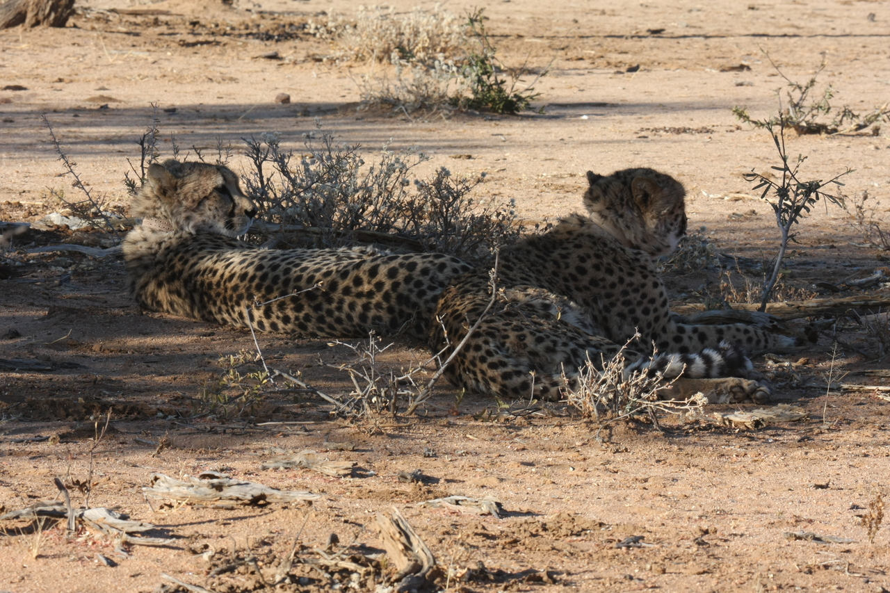 [1246] 2016_06_22_02_59_28_Africa_Canon_EOS_40D_IMG__00240.jpg