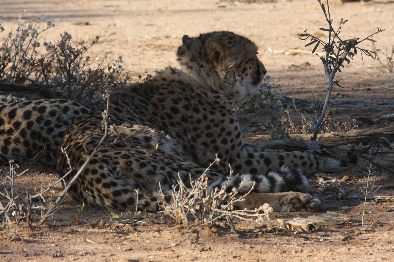 [1256] 2016_06_22_02_59_35_Africa_Canon_EOS_40D_IMG__07690.jpg