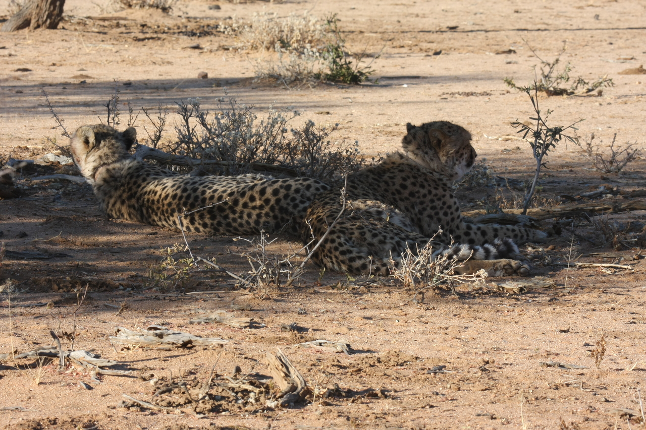 [1263] 2016_06_22_03_00_04_Africa_Canon_EOS_40D_IMG__00227.jpg