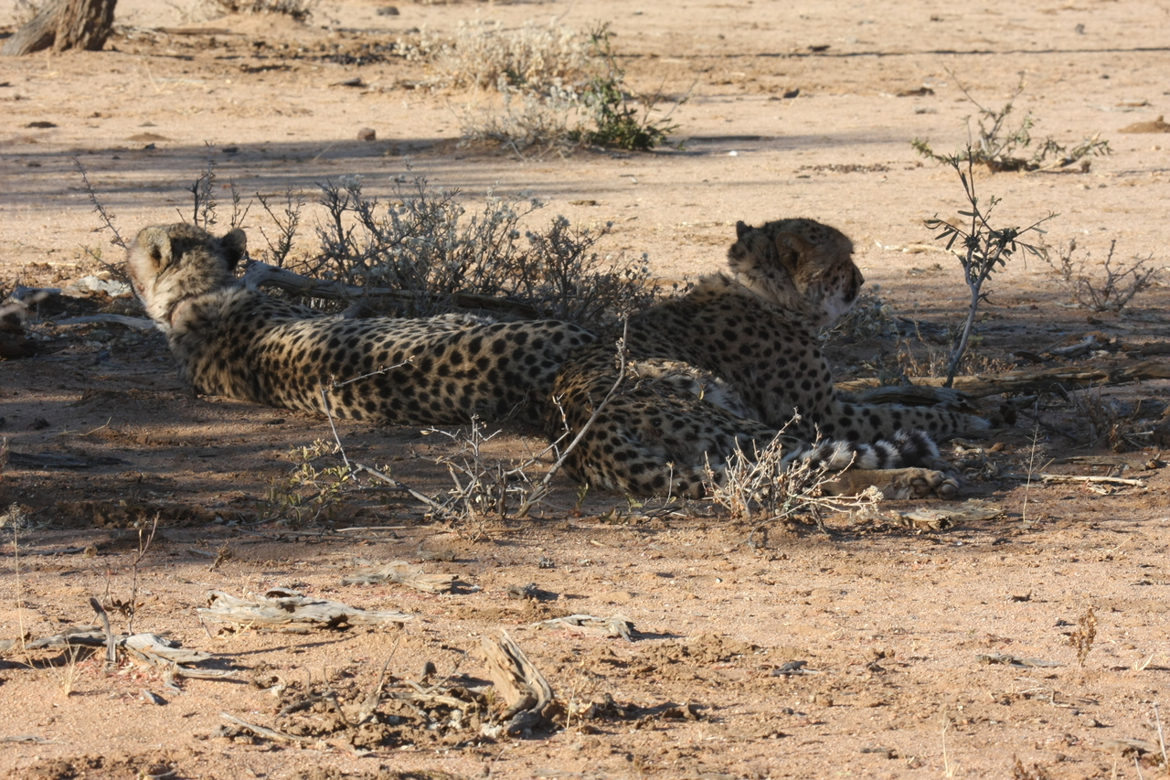 [1268] 2016_06_22_03_00_04_Africa_Canon_EOS_40D_IMG__07694.jpg