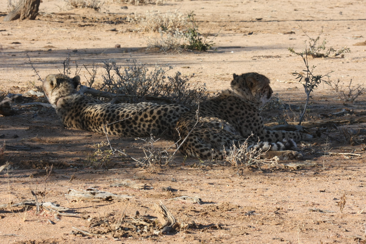 [1269] 2016_06_22_03_00_05_Africa_Canon_EOS_40D_IMG__00229.jpg