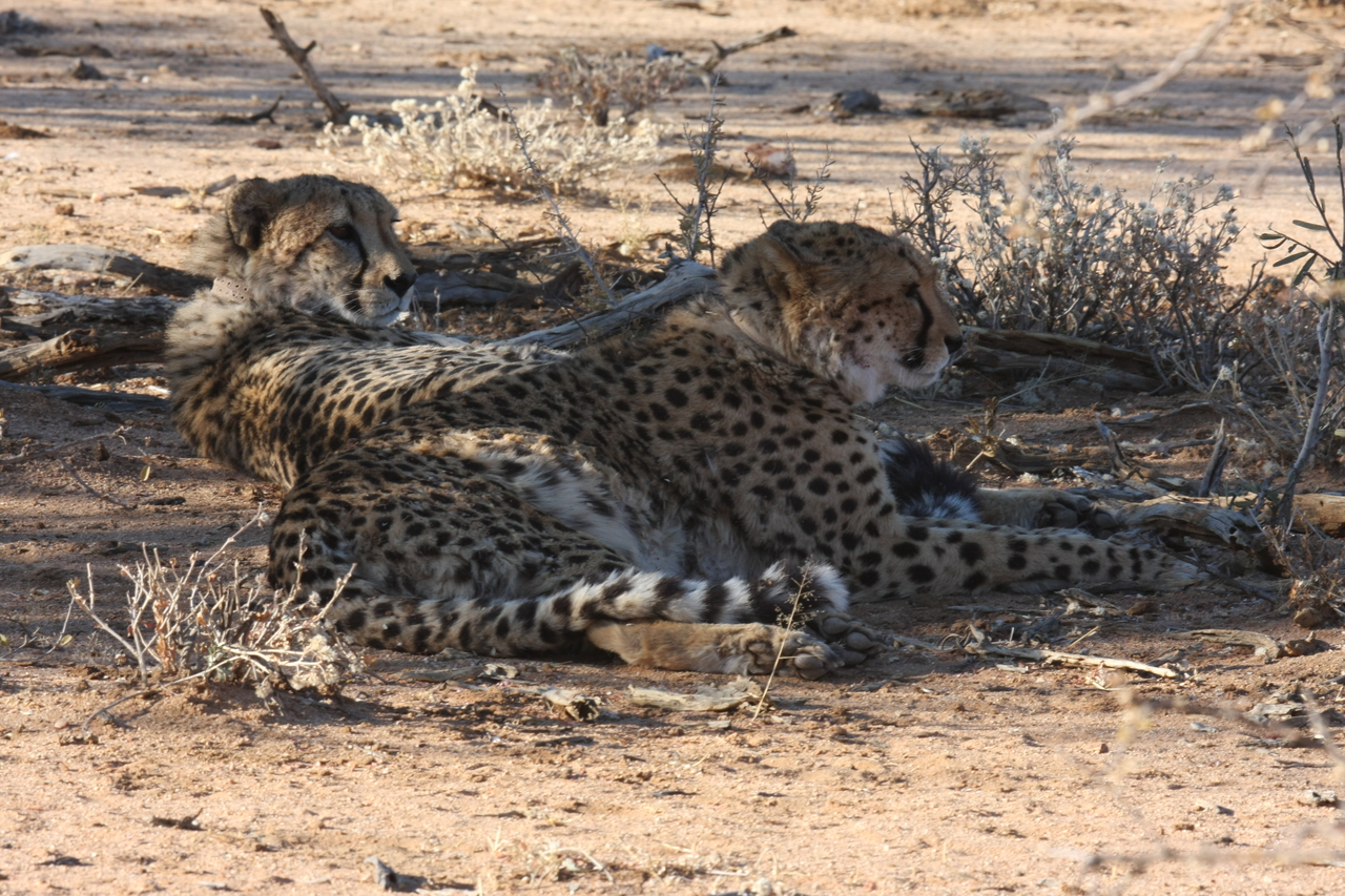 [1284] 2016_06_22_03_00_43_Africa_Canon_EOS_40D_IMG__07698.jpg