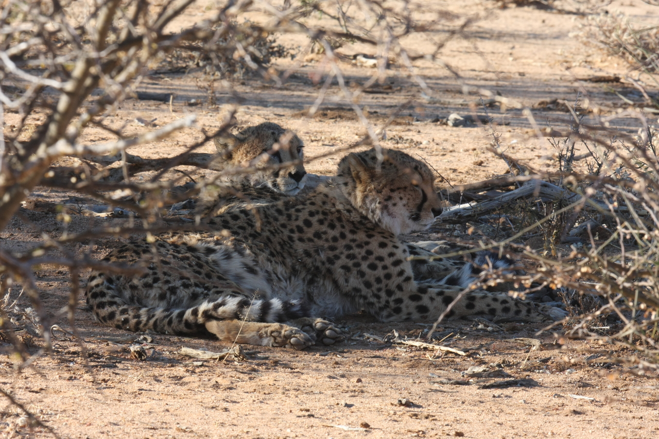 [1294] 2016_06_22_03_01_06_Africa_Canon_EOS_40D_IMG__00236.jpg
