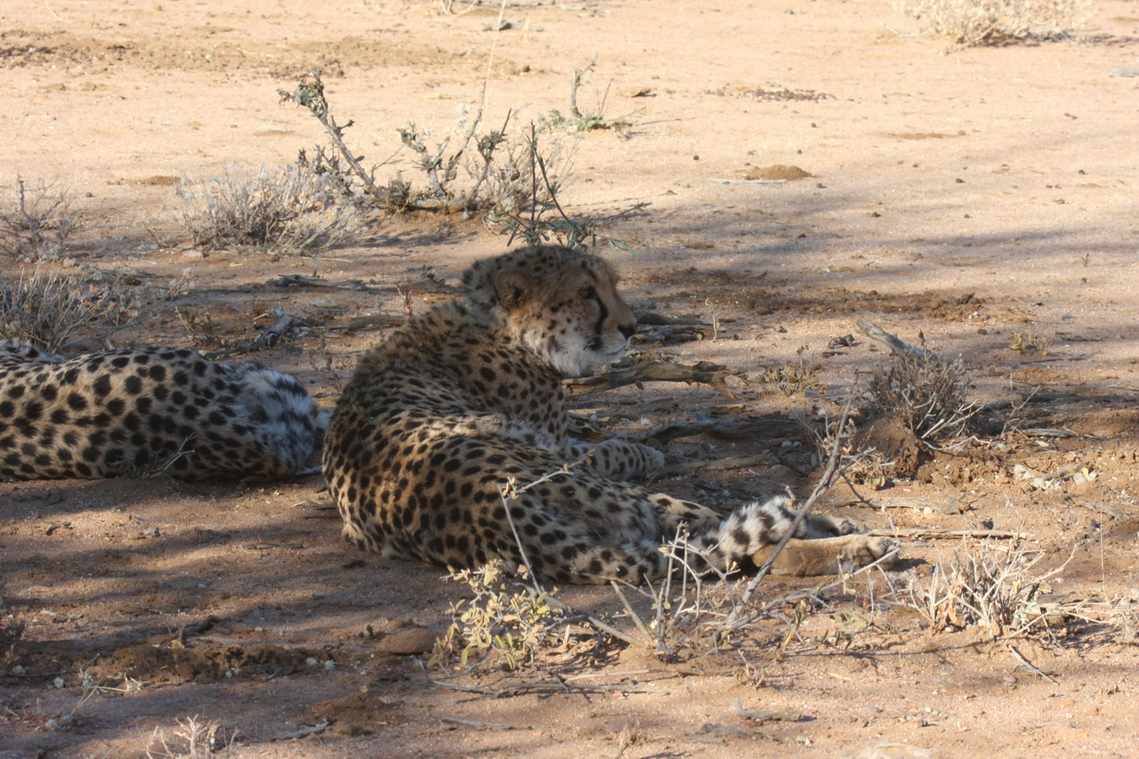 [1314] 2016_06_22_03_02_23_Africa_Canon_EOS_40D_IMG__00260.jpg