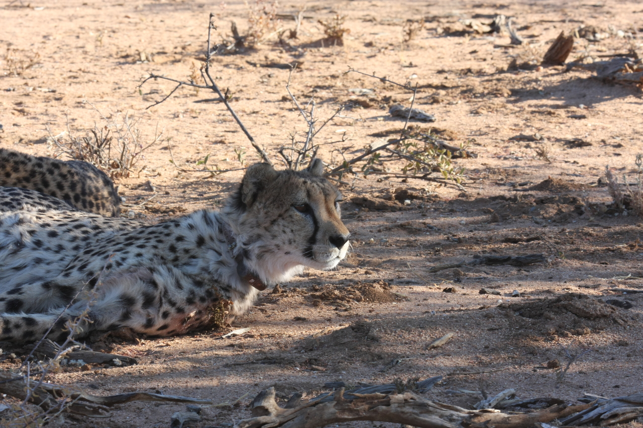 [1396] 2016_06_22_03_05_13_Africa_Canon_EOS_40D_IMG__00287.jpg