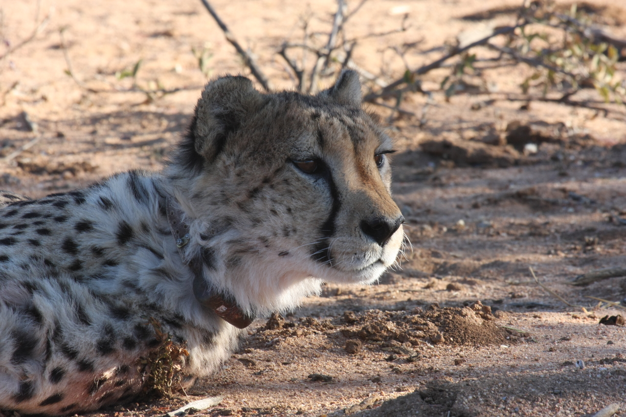 [1405] 2016_06_22_03_05_20_Africa_Canon_EOS_40D_IMG__00291.jpg