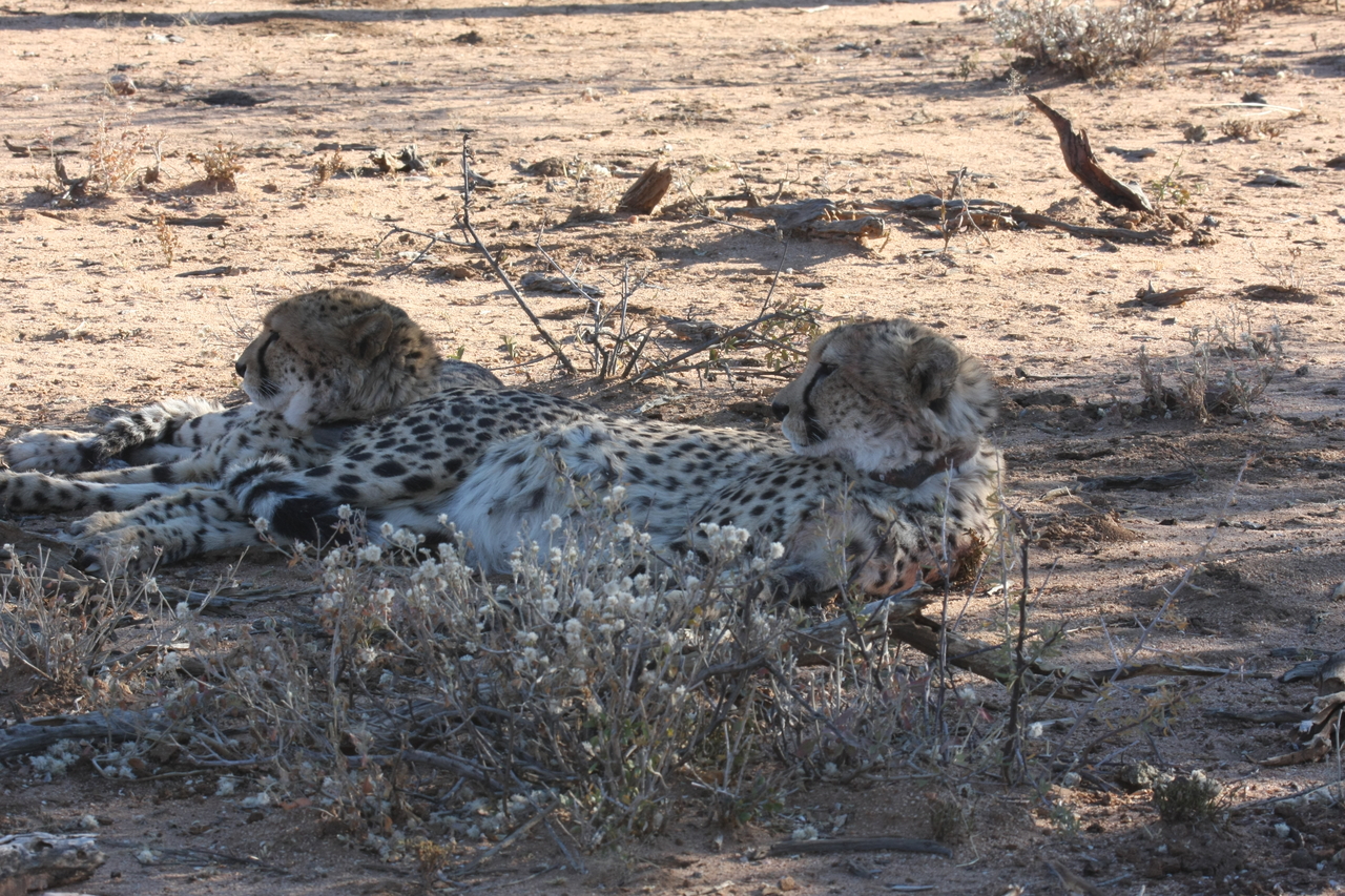 [1444] 2016_06_22_03_06_23_Africa_Canon_EOS_40D_IMG__00303.jpg