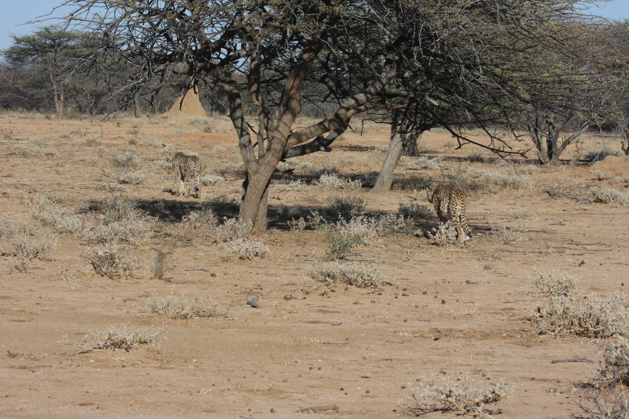 [1630] 2016_06_22_03_13_59_Africa_Canon_EOS_40D_IMG__00359.jpg
