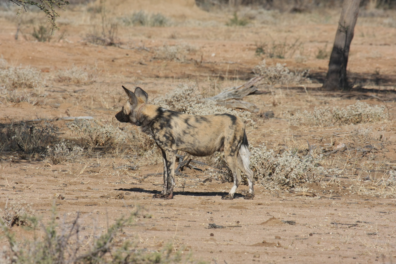 [1675] 2016_06_22_03_19_39_Africa_Canon_EOS_40D_IMG__00371.jpg