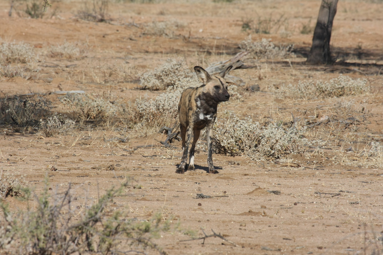 [1689] 2016_06_22_03_19_48_Africa_Canon_EOS_40D_IMG__00357.jpg