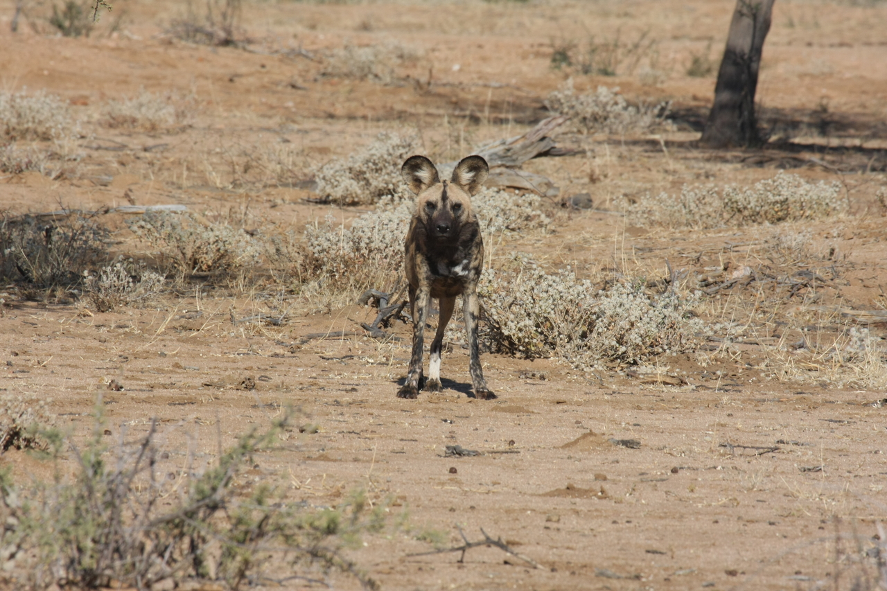 [1697] 2016_06_22_03_19_50_Africa_Canon_EOS_40D_IMG__07825.jpg