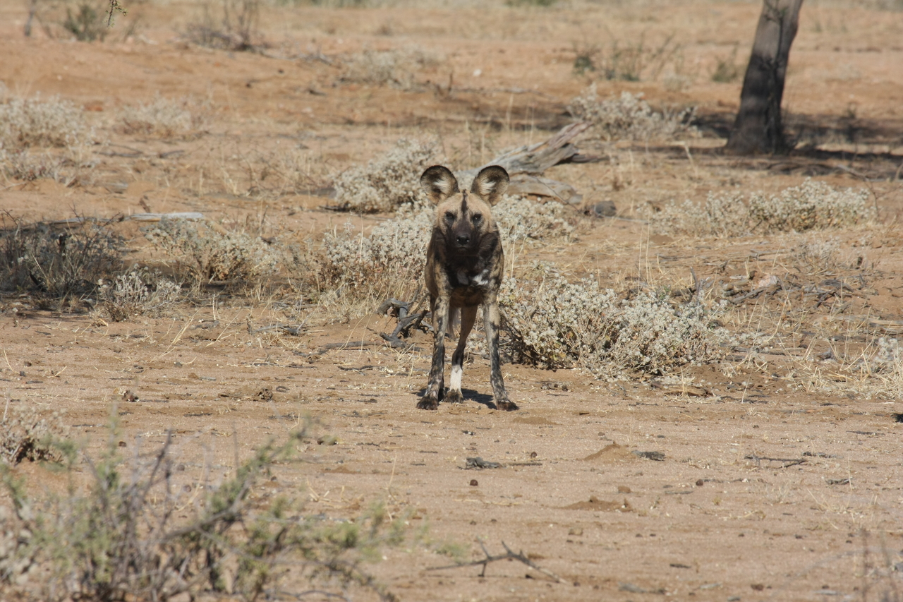 [1698] 2016_06_22_03_19_51_Africa_Canon_EOS_40D_IMG__00360.jpg