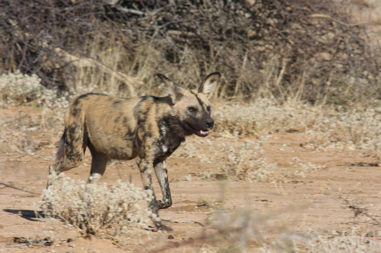 [1750] 2016_06_22_03_20_23_Africa_Canon_EOS_40D_IMG__00396.jpg