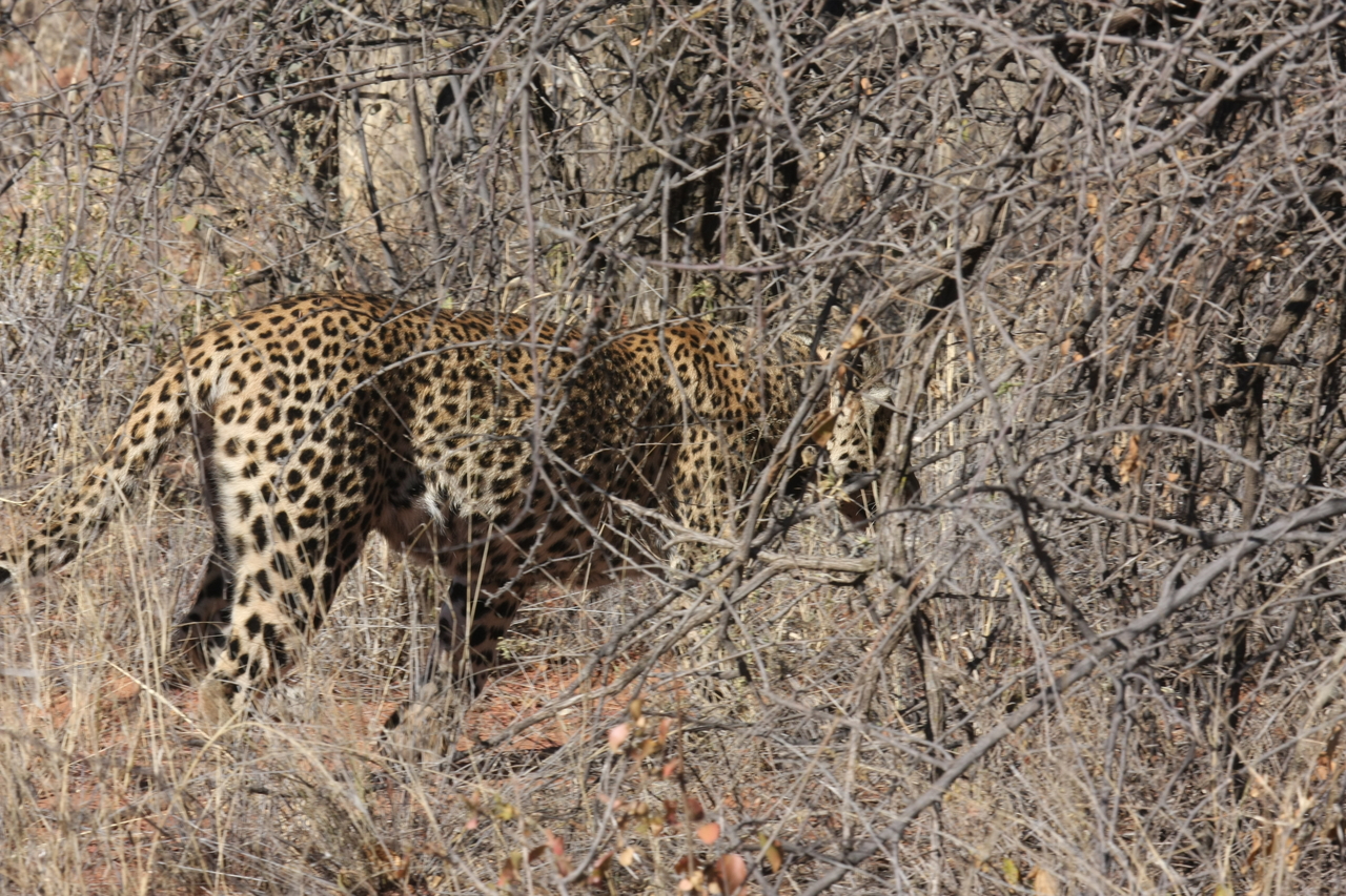 [1962] 2016_06_22_03_56_34_Africa_Canon_EOS_40D_IMG__00440.jpg