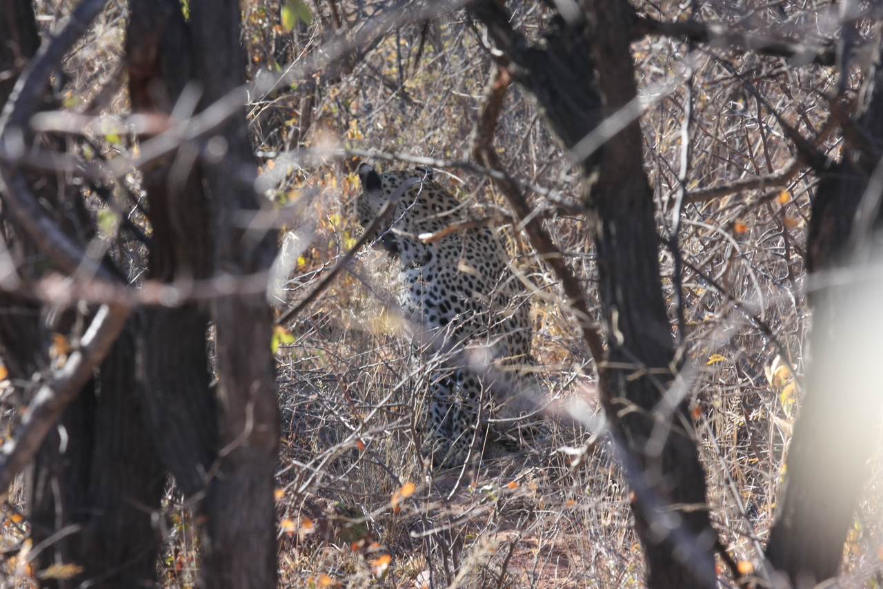 [1982] 2016_06_22_04_05_09_Africa_Canon_EOS_40D_IMG__00466.jpg