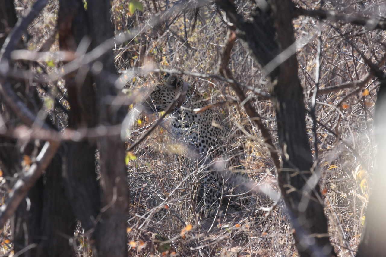 [2004] 2016_06_22_04_05_23_Africa_Canon_EOS_40D_IMG__00472.jpg