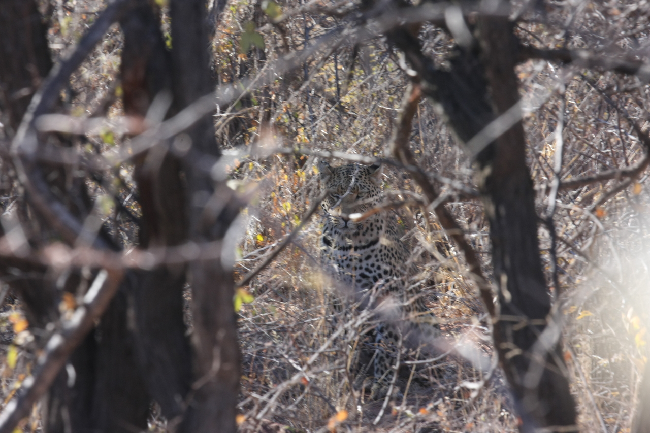 [2010] 2016_06_22_04_05_28_Africa_Canon_EOS_40D_IMG__00456.jpg