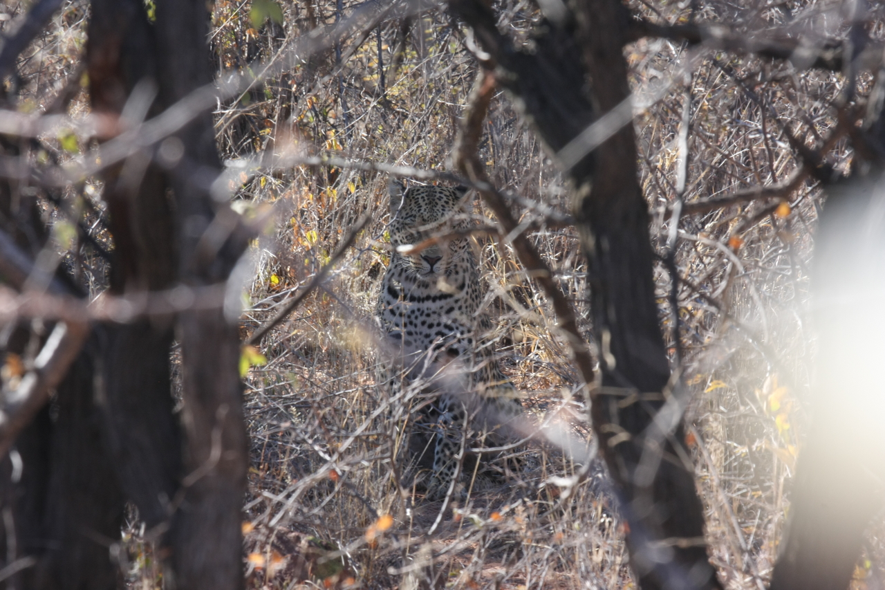 [2014] 2016_06_22_04_05_28_Africa_Canon_EOS_40D_IMG__00476.jpg