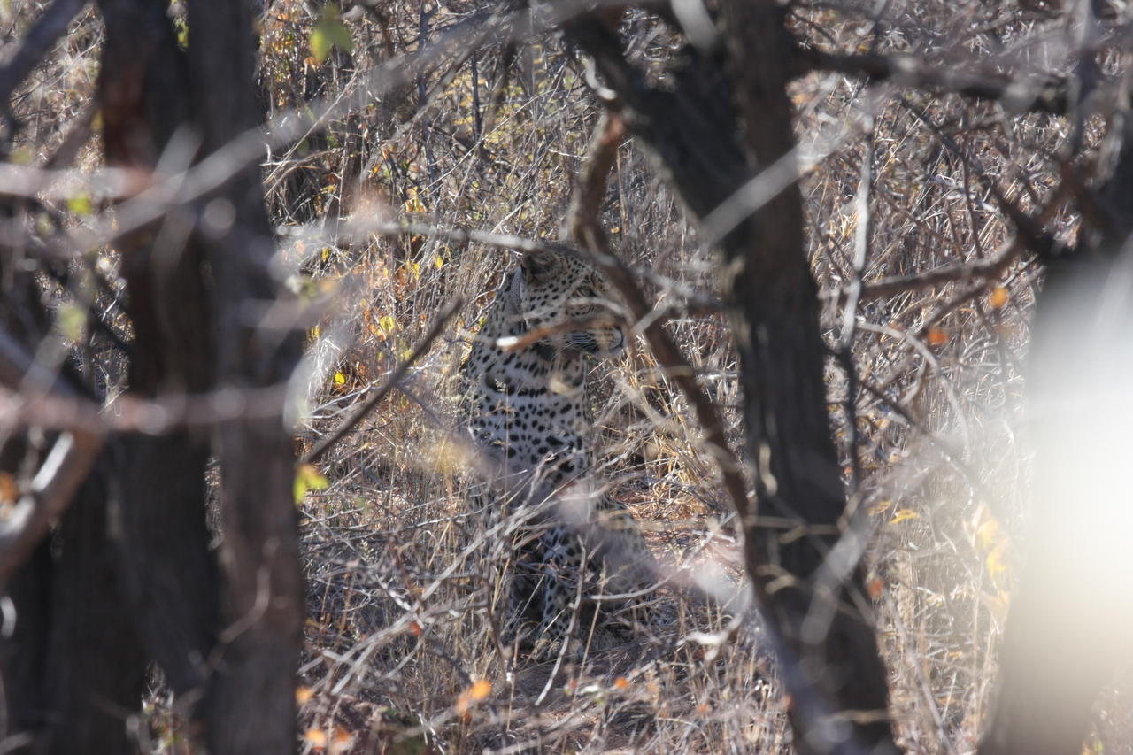 [2019] 2016_06_22_04_05_29_Africa_Canon_EOS_40D_IMG__00459.jpg