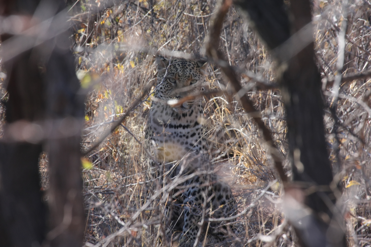 [2038] 2016_06_22_04_05_46_Africa_Canon_EOS_40D_IMG__07930.jpg