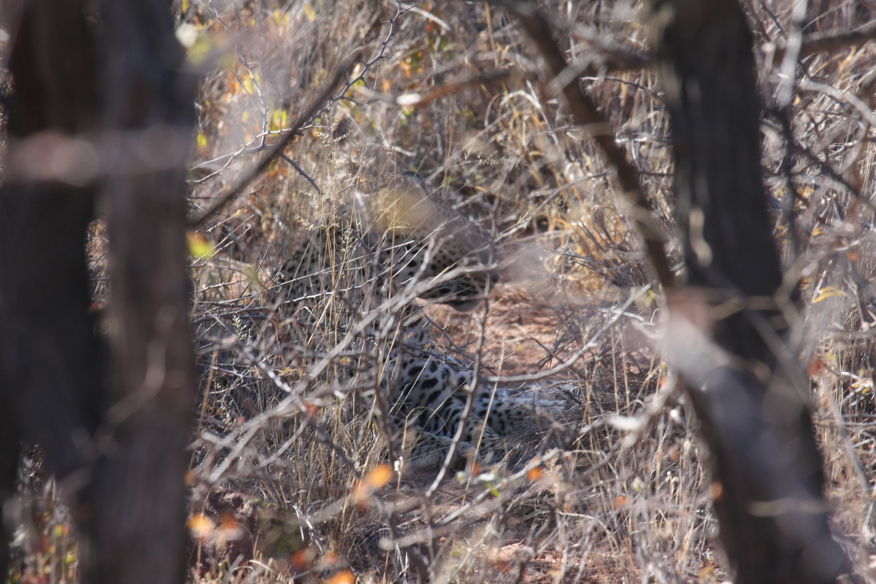 [2052] 2016_06_22_04_05_58_Africa_Canon_EOS_40D_IMG__07934.jpg
