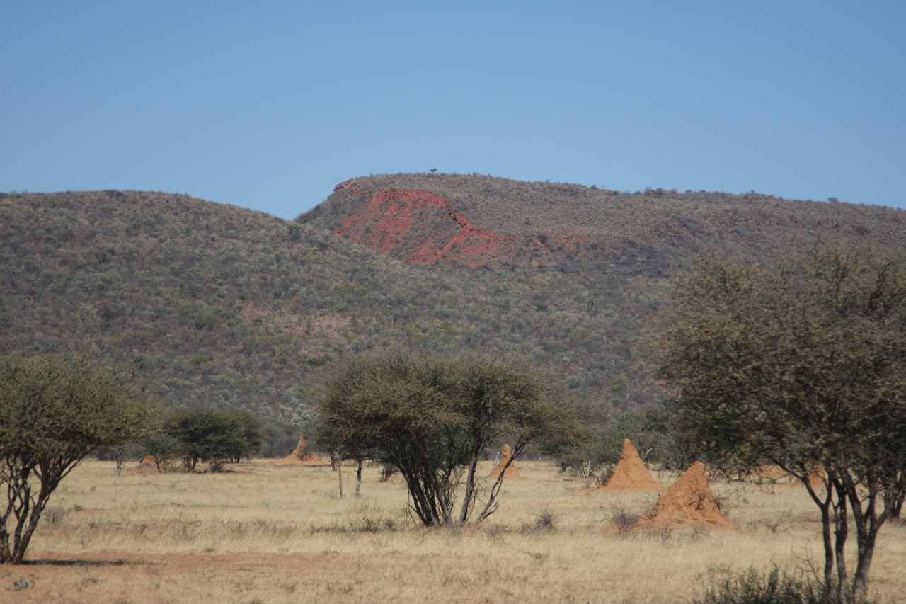 [2287] 2016_06_22_07_41_05_Africa_Canon_EOS_40D_IMG__00517.jpg
