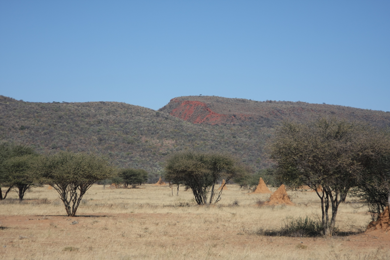 [2294] 2016_06_22_07_41_11_Africa_Canon_EOS_40D_IMG__07984.jpg