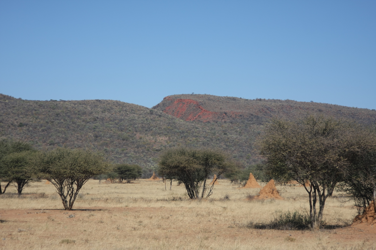 [2295] 2016_06_22_07_41_11_Africa_Canon_EOS_40D_IMG__07985.jpg