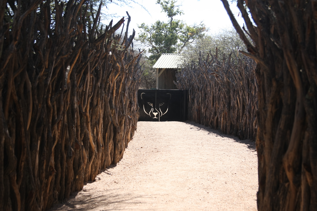 [2316] 2016_06_22_07_43_08_Africa_Canon_EOS_40D_IMG__07992.jpg