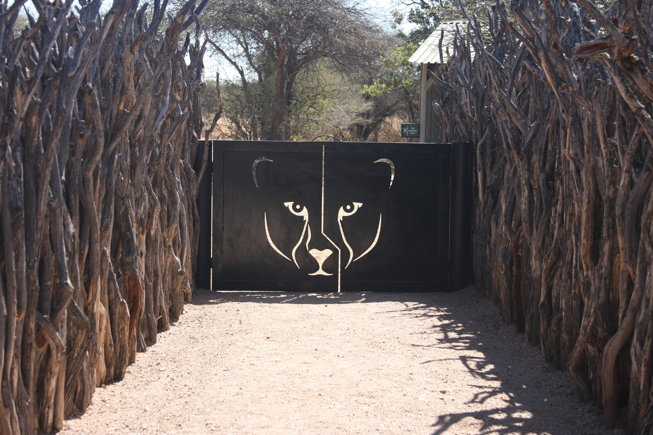 [2321] 2016_06_22_07_43_40_Africa_Canon_EOS_40D_IMG__07993.jpg