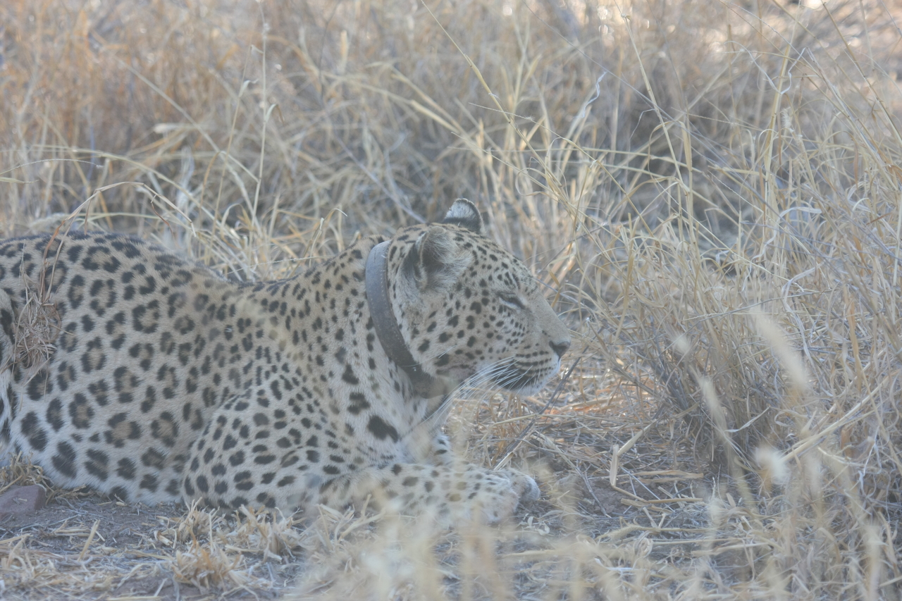 [2586] 2016_06_22_10_58_48_Africa_Canon_EOS_40D_IMG__00554.jpg