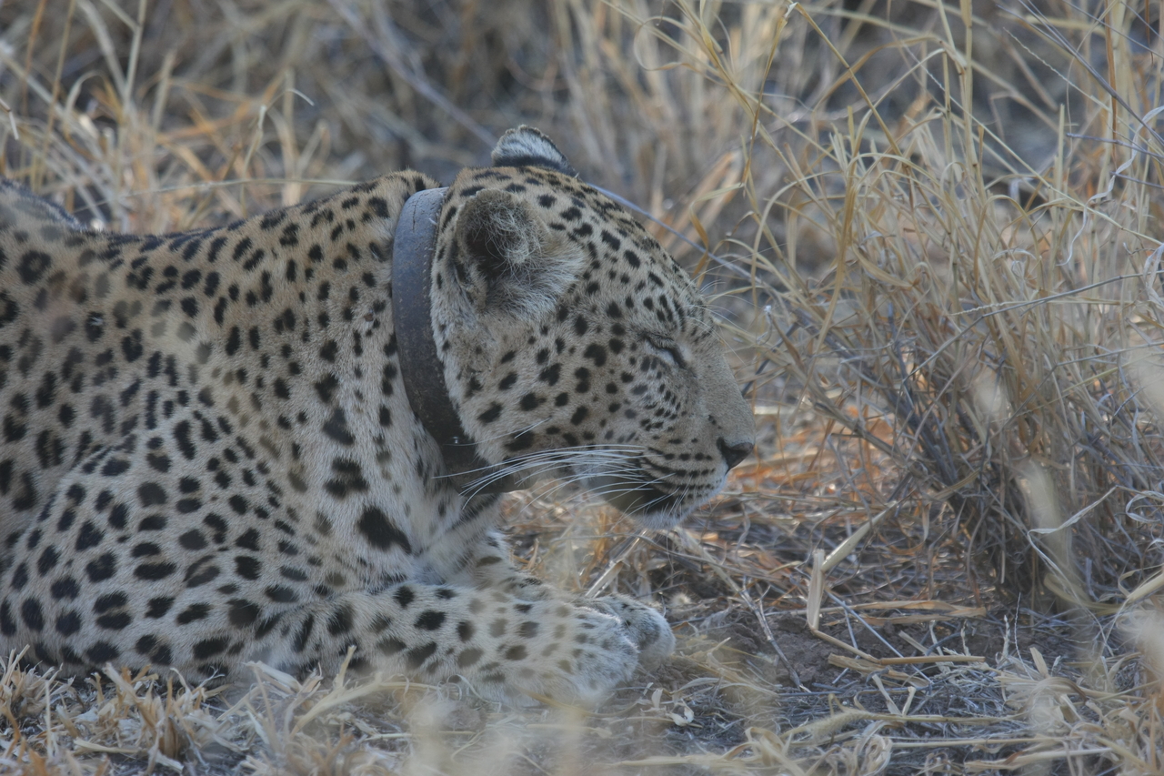 [2616] 2016_06_22_10_59_56_Africa_Canon_EOS_40D_IMG__08008.jpg