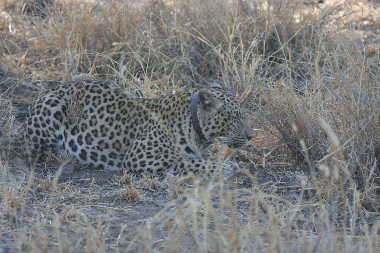 [2621] 2016_06_22_11_00_09_Africa_Canon_EOS_40D_IMG__00545.jpg