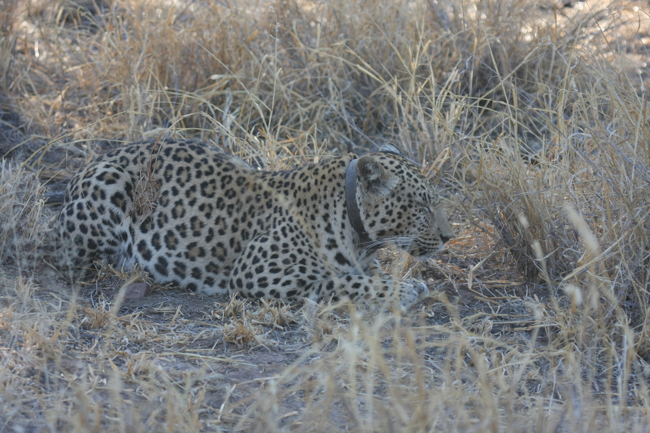 [2628] 2016_06_22_11_00_12_Africa_Canon_EOS_40D_IMG__00565.jpg