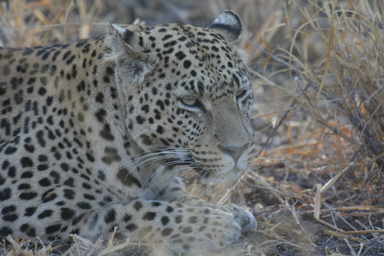 [2640] 2016_06_22_11_00_37_Africa_Canon_EOS_40D_IMG__08016.jpg